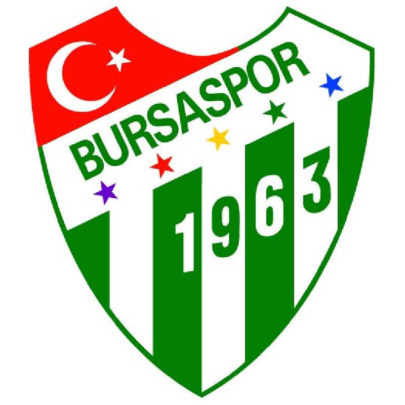 Bursaspor, Fransız Teknik Adamla Anlaştı