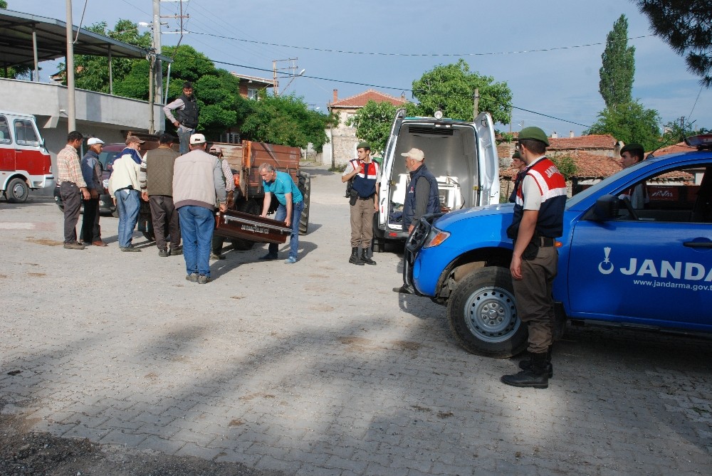 Kestiği Ağacın Altında Kaldı