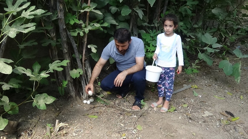 Ek İş Olarak Başladı, Avrupaya İhraç Ediyor