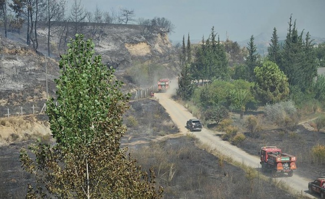 Antalya'da orman yangını