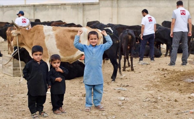 YERYÜZÜ DOKTORLARI'NDAN KURBAN ORGANIZASYONU