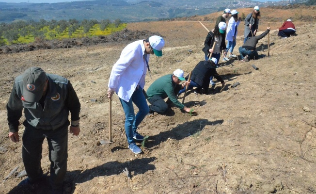 “ÇINARLAR VE FİDANLAR EL ELE”