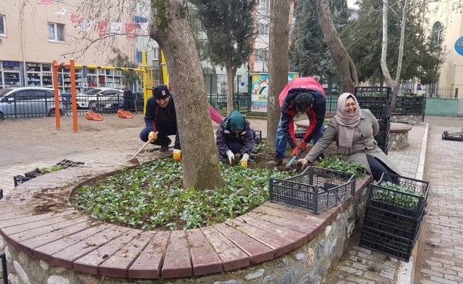 GÜRSU’NUN PARKLARI VE CADDELERİ ÇİÇEK AÇIYOR