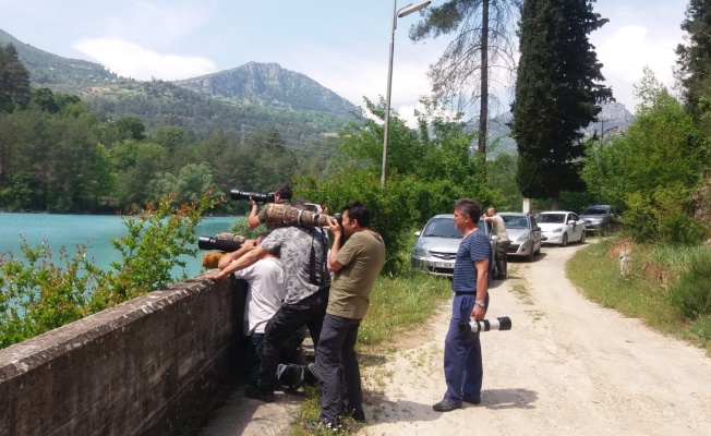 KARACABEY ULUSLARARASI YABAN HAYATI FOTOĞRAFÇILARINI AĞIRLAYACAK