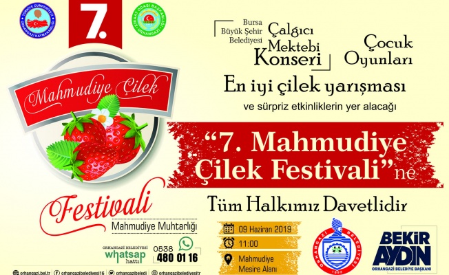 ÇİLEK TADINDA FESTİVAL BAŞLIYOR..