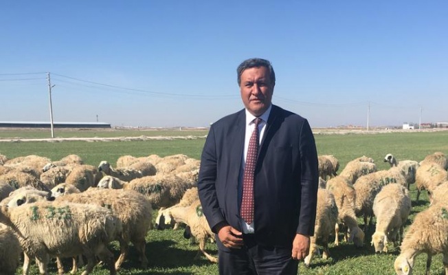 GÜRER: “ÜRETİCİ  GEÇİM DERDİNDE, İKTİDAR İTHALAT PEŞİNDE”