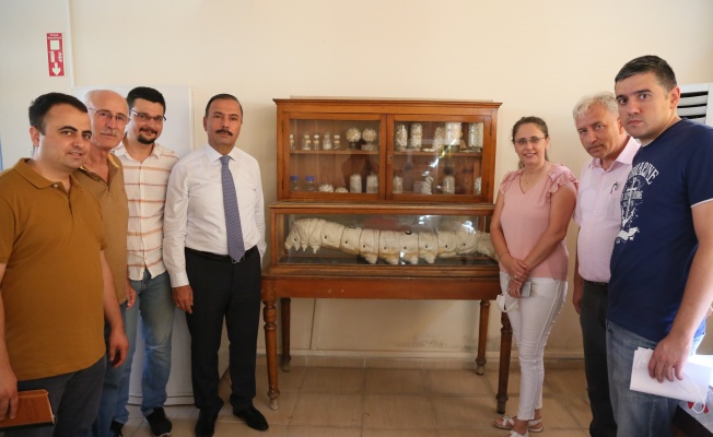 Tarihi Ipek Yolunun Merkezi Bursa Da Yas Koza Hasadi Basladi