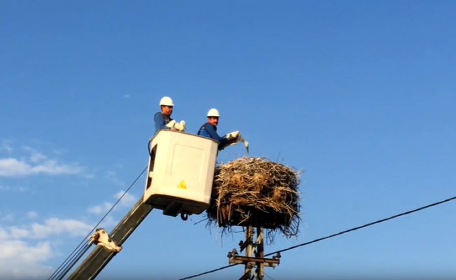 ENERJİ ÇALIŞANLARI HAFTASI BAŞLADI!