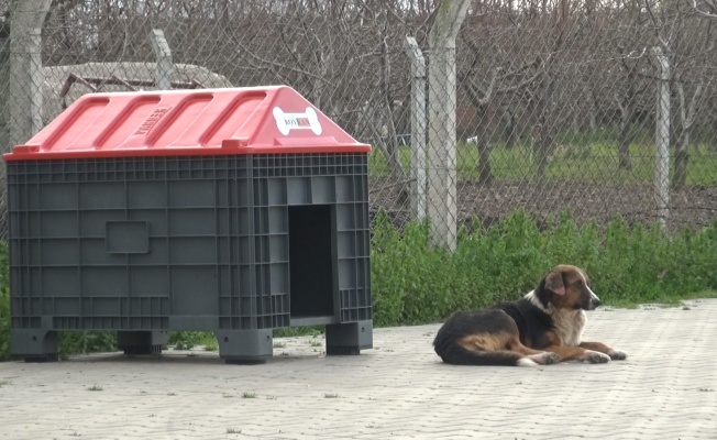 HAYVANSEVERLERDEN MUSTAFAKEMALPAŞA’YA TAM PUAN