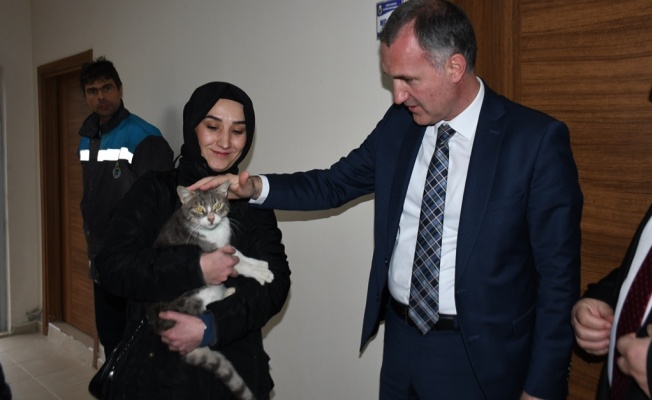 İNEGÖL BELEDİYESİ, KEDİ SAHİPLENENE YUVA HEDİYE EDECEK