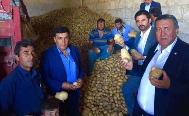 PATATES ÜRETİCİSİNE BİR DARBE DAHA!