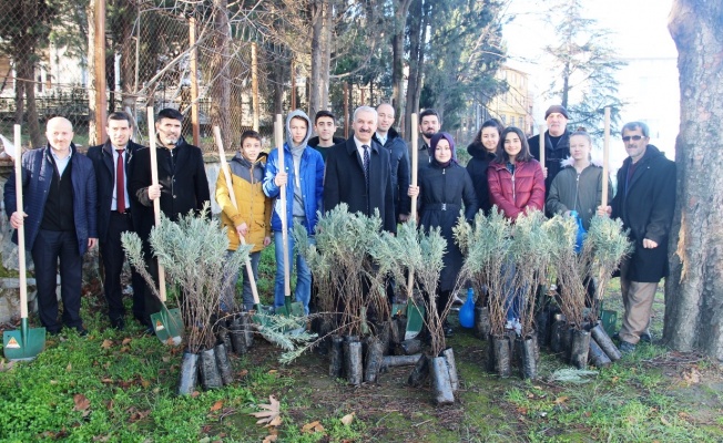 BURSA’DA FİDANLAR TOPRAKLA BULUŞTU