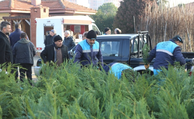 Nilüfer Belediyesi’nden vatandaşlara ücretsiz fidan