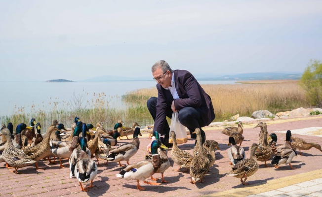 Başkan Özkan Eskikarağaç'ta ördekleri elleriyle besledi, doğa mesajı verdi