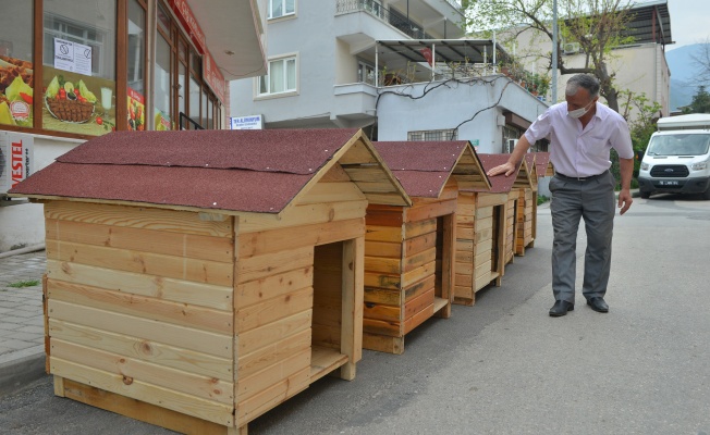 EVDEKALDI’ SOKAK HAYVANLARINI UNUTMADI