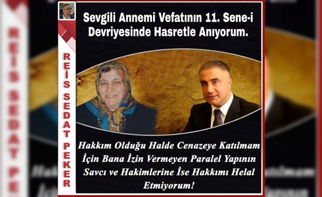 İŞ ADAMI SEDAT PEKER BAYANLARDAN ÖZÜRDİLEDİ