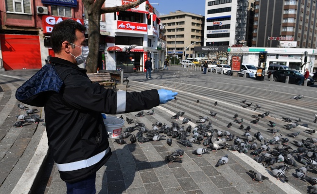 OSMANĞAZİ'DEKİ HER CANLI DEĞERLİ