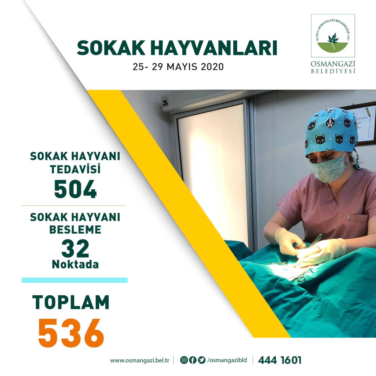 SOKAK HAYVANLARI UNUTULMUYOR