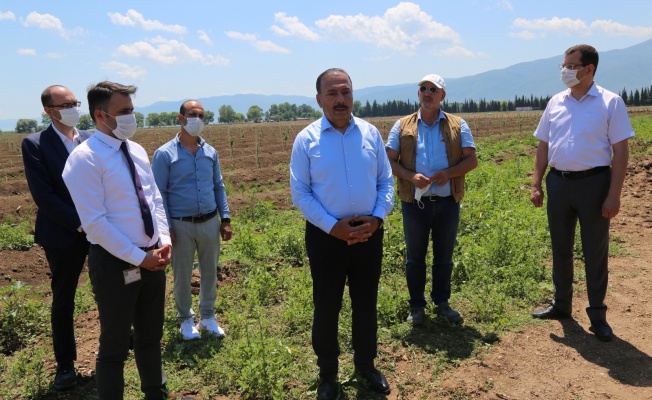 Bursa İl Tarım ve Orman Müdürlüğümüzden, Hektaş’ın Orhangazi Projesine Ziyaret