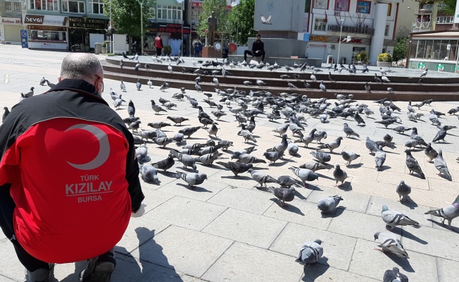 TÜRK KIZILAY BURSA SESSİZ DOSTLARIMIZIN DA YANINDA…