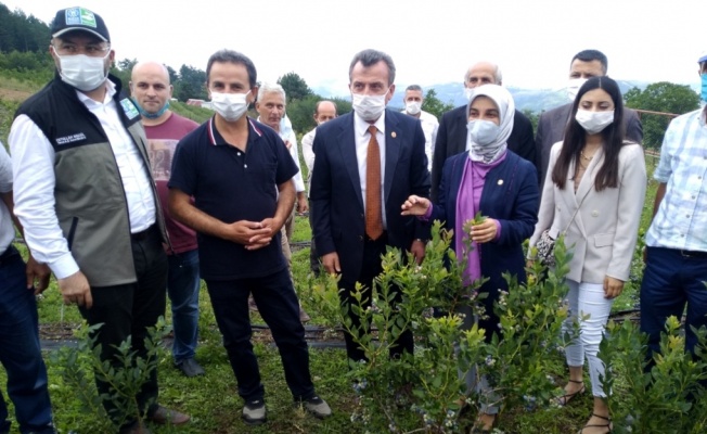 Toprak Büyükşehir’le bereketleniyor