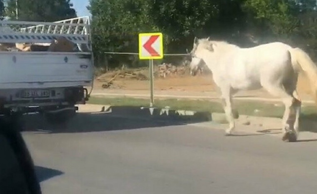 Bursa'da büyük vicdansızlık