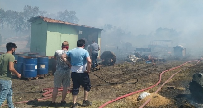 Bursa'da çiftlikte çıkan yangın ormana sıçradı