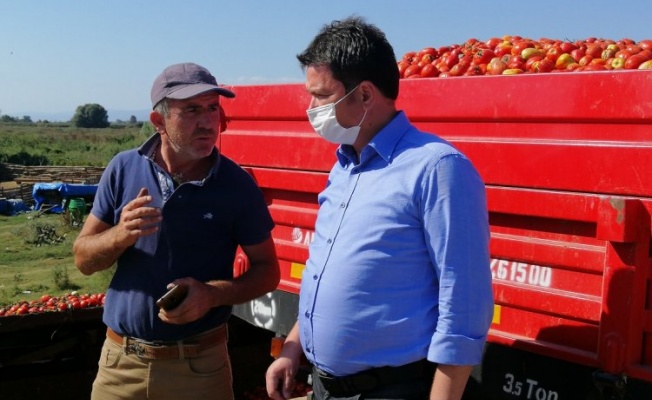 Bursa Milletvekili Aydın: "Tarım çökerse ülke çöker"