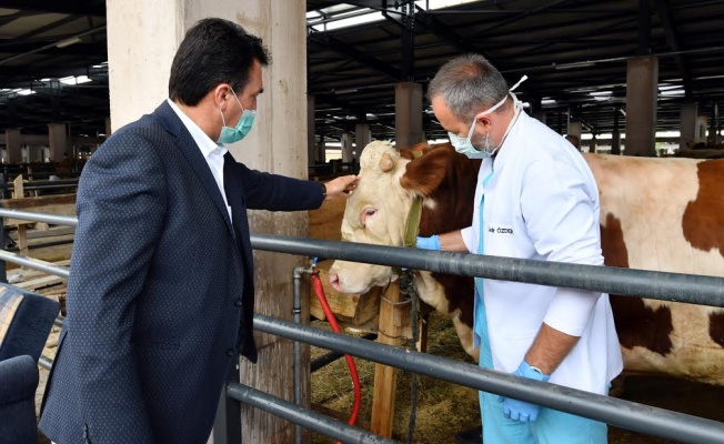 Hijyenik Tesis Ekonomiye Can Kattı