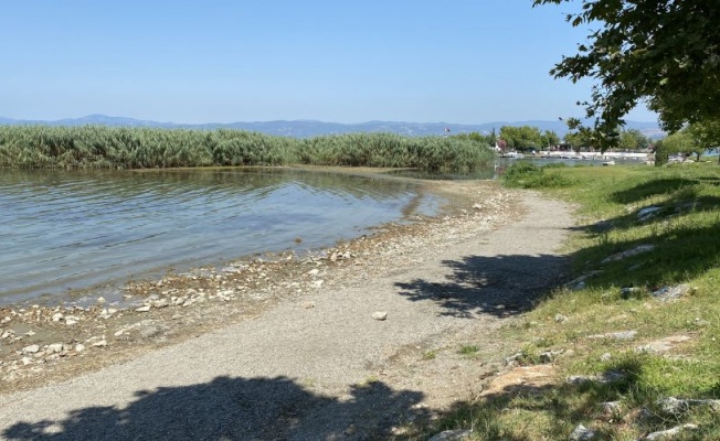 İznik Gölü'nde korkutan görüntü!