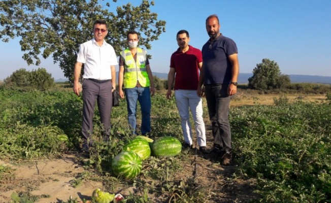 Mustafakemalpaşalı çiftçinin yüzü yeni gelir kaynaklarıyla gülecek