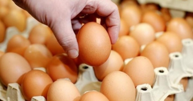 Bayraktar: Yumurtada yeni pazarlar bulunmalı