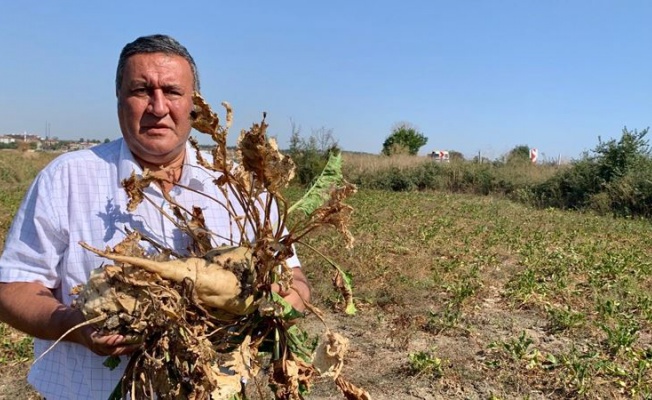 Gürer: “Şeker pancarının taban   fiyatı  neden açıklanmıyor?”