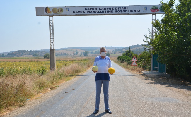 Karacabeyli çiftçiler kavun hasadından memnun