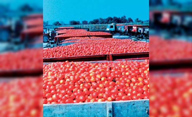 Karacabey’e salça fabrikası yatırımı çağrısı