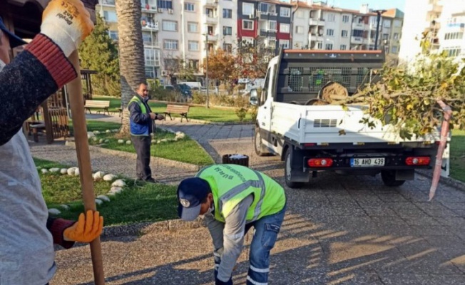 Mudanya Tekel Parkı'nda kuruyan ağaçlar yenilendi