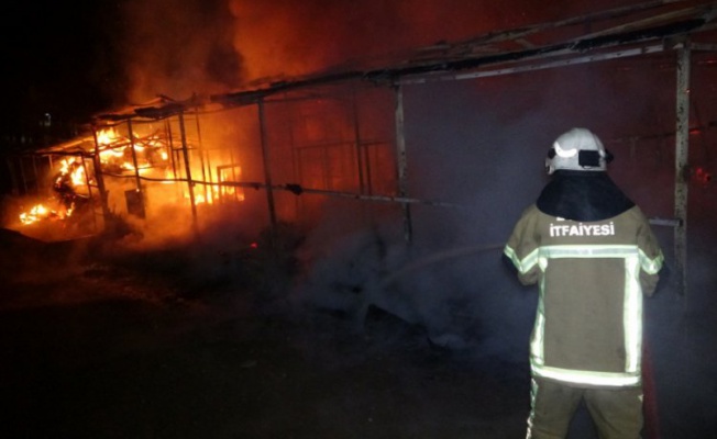 Bursa'daki at çiftliğinde korkutan yangın