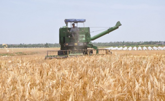Gürer: İthal buğdayı işleyip ihraç ederek tarımda sorunlar aşılamaz
