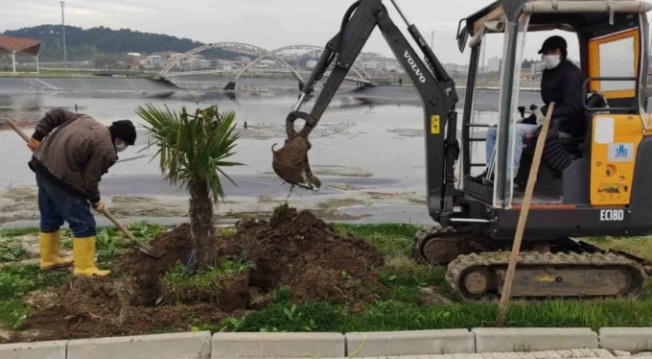 Karacabey'de binlerce fidan toprakla buluşuyor