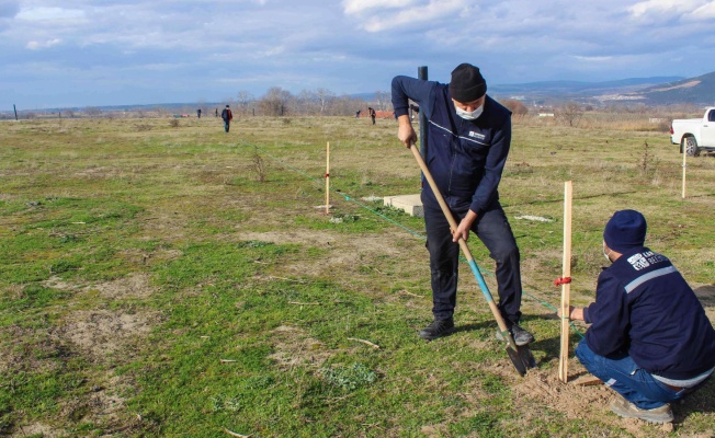 Karacabey'de çevreye katkı sağlayacak hamle