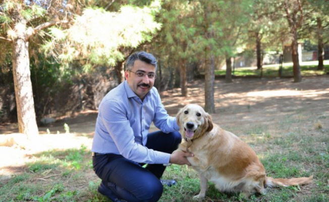 Yıldırım Belediye Başkanı Yılmaz: 'Sokak hayvanlarına sahip çıkıyoruz'