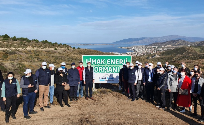 Limak Enerji Balıkesir'i ağaçlandıracak