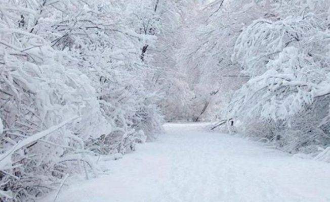 Meteorolojiden Bursa için kar uyarısı!