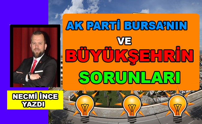 Necmi İnce Yazdı: Ak Parti Bursa'nın ve Büyükşehrin Sorunları