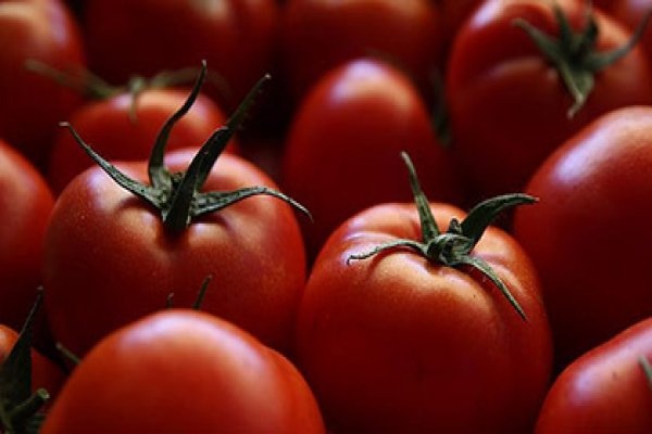 Rusya'dan sevindiren "domates" kararı