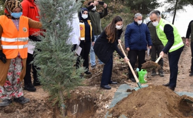 Bursa'da Sağlık Kahramanları Hatıra Ormanı oluşturuldu