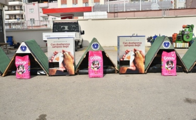 Bursa'da sokak hayvanları için 250 adet kulübe
