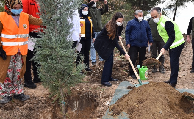 Bursa'dan Sağlık Kahramanları Ormanı