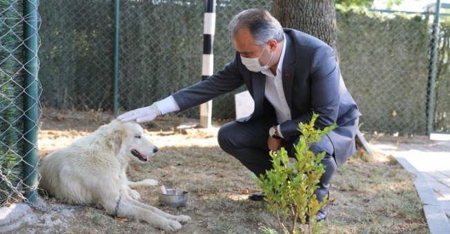 Can dostlarına modern rehabilitasyon merkezi