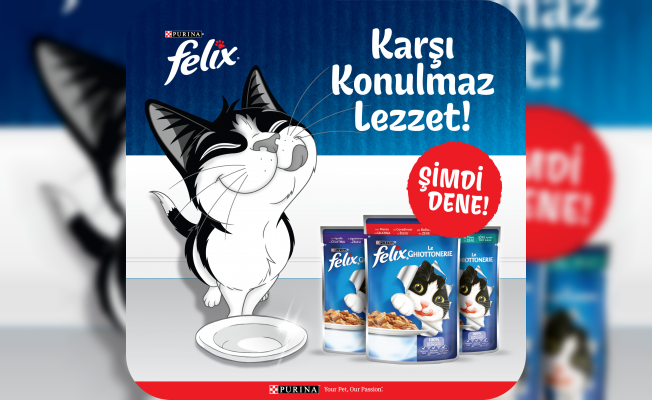 Felix’ten Kediler İçin “Karşı Konulmaz Lezzet”